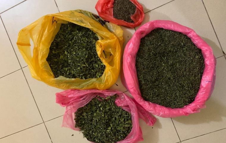 Médina : Un étudiant éthiopien arrêté par la BRS de Dakar avec 3 kg de khat